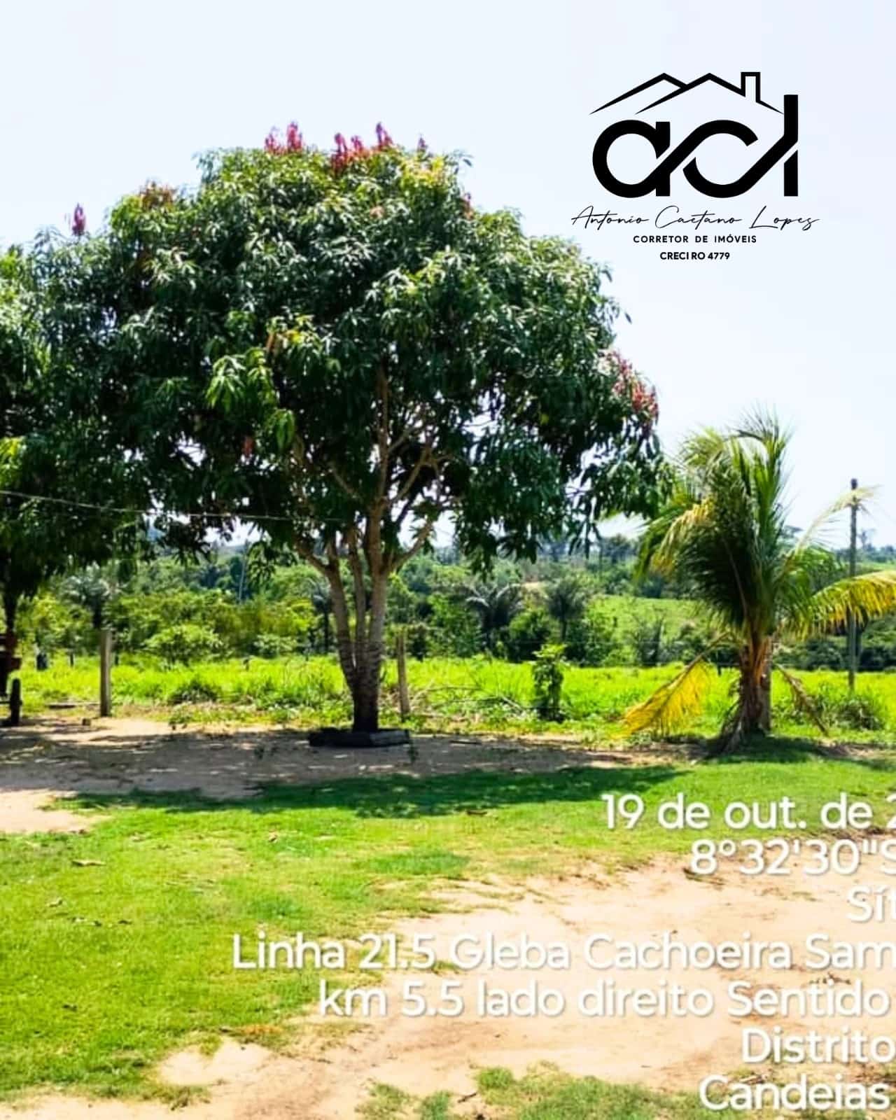 Belíssima Fazenda no Distrito de Vila Samuel – Excelente Oportunidade!