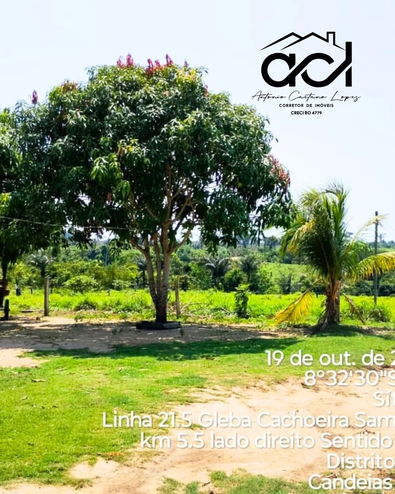 Belíssima Fazenda no Distrito de Vila Samuel – Excelente Oportunidade!