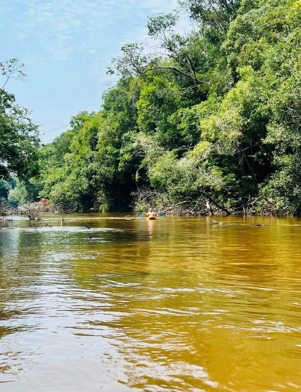 Linda Fazenda no Rio das Garças