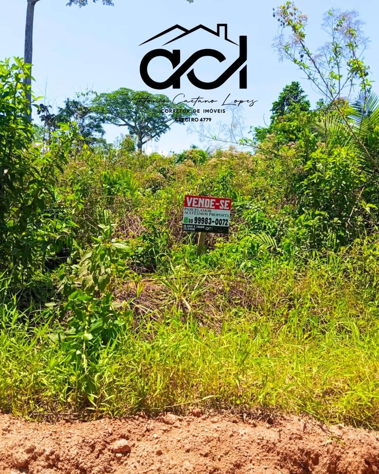 🌿 CHÁCARA À VENDA – DISTRITO DE SÃO CARLOS