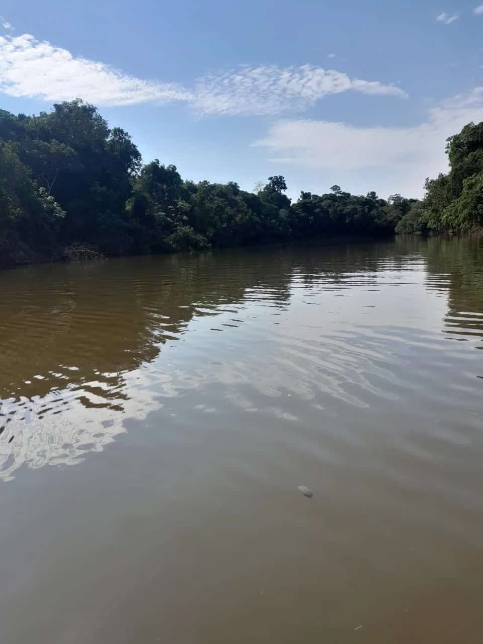 ATIVO RURAL ESTRATÉGICO – 550 HECTARES NA AMAZÔNIA 🌿